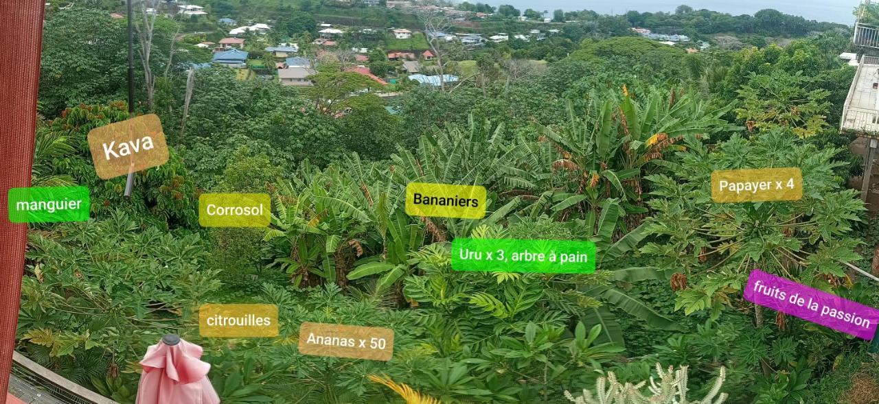 Manava Tahara'A Home Stay Mahina Zewnętrze zdjęcie