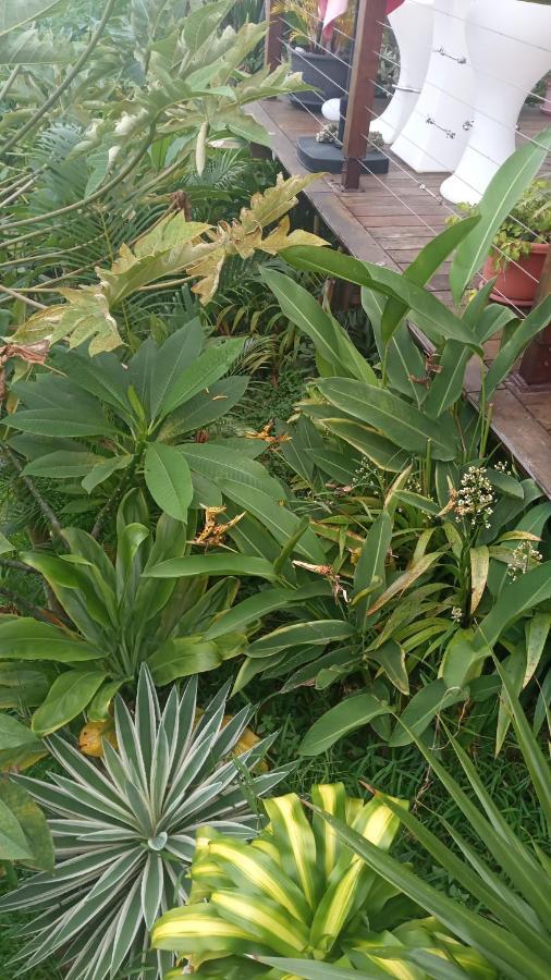 Manava Tahara'A Home Stay Mahina Zewnętrze zdjęcie